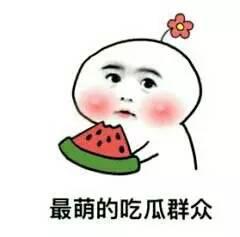 娱乐八卦吃瓜图片表情包可爱,娱乐八卦表情包大集合