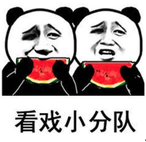 娱乐八卦吃瓜图片表情包可爱,娱乐八卦表情包大集合